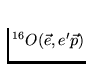 $^{16}O(\vec{e},e^{\prime}\vec{p})$